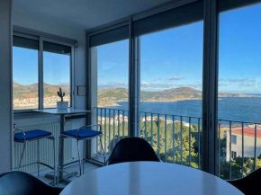 Appart 2 pièces 4 couchages BANYULS SUR MER BN100-E541